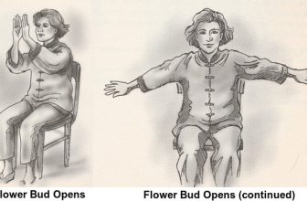 Seated Tai Chi Exercises Designed To Open the Chest and Lift Your Rib Cage