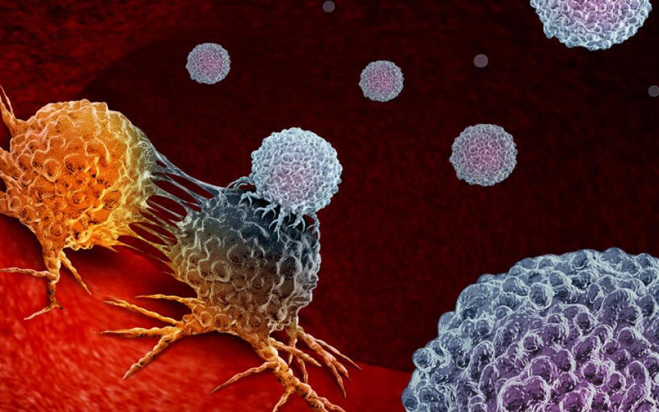 Immmunotherapy Cells