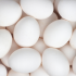 Key Protein Has Been Identified for Healthy Aging