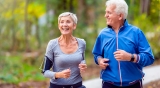 Key Protein Has Been Identified for Healthy Aging