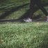 Exercise can potentially increase your brain size