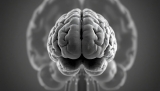 Obesity’s Shadow: Unveiling the Long-Term Impact on Your Brain