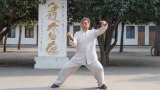 Mastering the Chen Style Tai Chi Chuan Form: A Comprehensive Guide