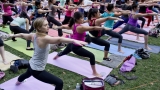 College Students Could Practice Tai Chi for Their Health
