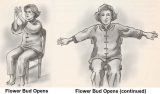 Seated Tai Chi Exercises Designed To Open the Chest and Lift Your Rib Cage