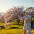 Can I Learn Tai Chi By Myself? A Comprehensive Guide 