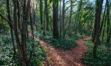 Embracing Nature and Your Surroundings with Tai Chi Exercise