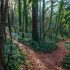 Reduce Your Stress Level with Tai Chi & Qigong Exercises