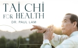 The Top Five Tai Chi Video Exercise Channels for 2026–2027