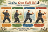 Compare  Tai Chi “Grasp Bird’s Tail” vs. the Push-Up