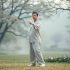 Seated Tai Chi: Studies Confirm Its Remarkable Effectiveness