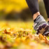 Free Tai Chi Exercise and Meditation Music Guide
