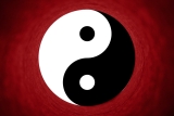 Tai Chi is the Dynamic Interplay of Yin and Yang Energies in Martial Arts